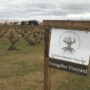 Evangelho Vineyard Sign